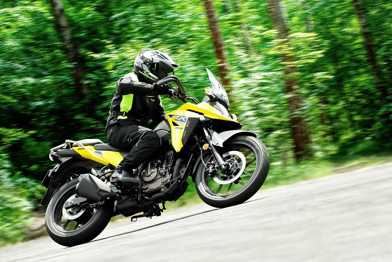 imgi_92_V-STROM_250SX_M3_Action_24
